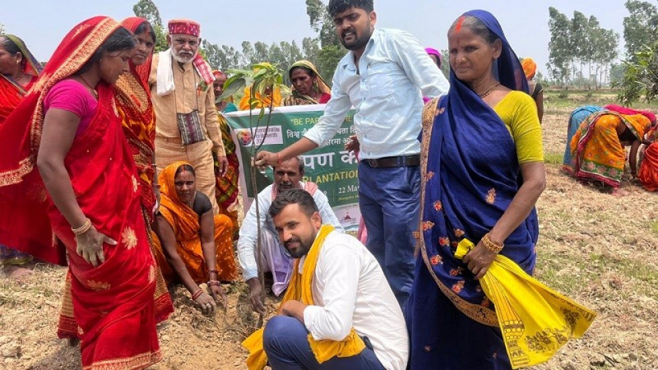 मुक्तिनाथ विकास बैंकद्वारा ईलाम र महोत्तरीमा वृक्षारोपण कार्यक्रम सम्पन्न