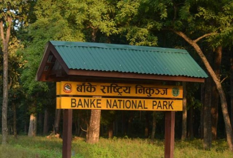 बाँके राष्ट्रिय निकुञ्जमा टाइम कार्डको समय घटाइयो, यात्रुलाई सात मिनेटसम्म समय बचत हुने