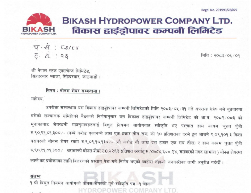 कारोबार समयमा विकास हाइड्रोपावरको लाभांश घोषणा, लगानीकर्तालाई १०% बोनस