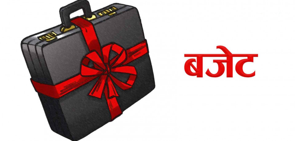 बजेटका लागि सरकारको डिजिटल परामर्श अभियान, सुझाव सङ्कलन पोर्टल सञ्चालन