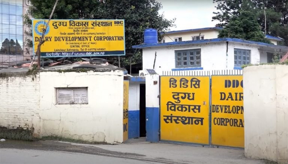 सरकारी दुग्ध संस्थानमा करोडौँको अनियमितता आशंका, पूर्वमहाप्रबन्धकसहित आठमाथि अनुसन्धान