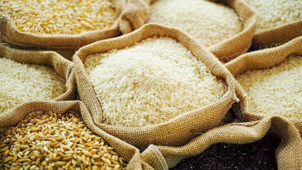 धानचामलमा बढ्दो परनिर्भरता, एक वर्षमै बाहिरियो करिब ४० अर्ब