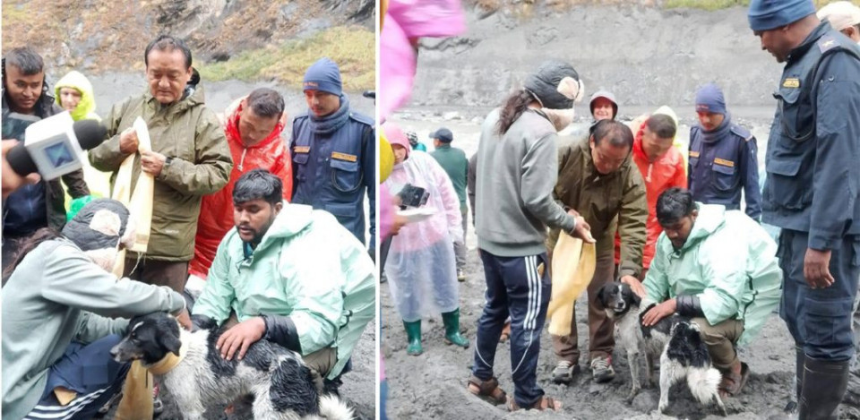बूढीगण्डकी बाढीमा २० दिनदेखि फसेको कुकुरको उद्धार