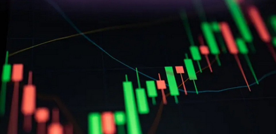 भारतको सेयरबजार १४ महिनाकै उच्च विन्दुमा