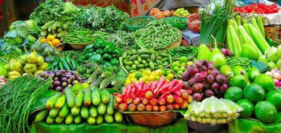 धादिङको लौका, मकवानपुरको काउली र सल्यानको आलुमा उच्च विषादी