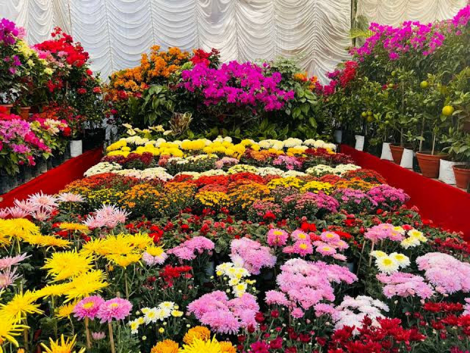 ललितपुरमा ५ दिने गोदावरी फूल महामेला सुरु, १ करोड ३० लाखको कारोबार लक्ष्य