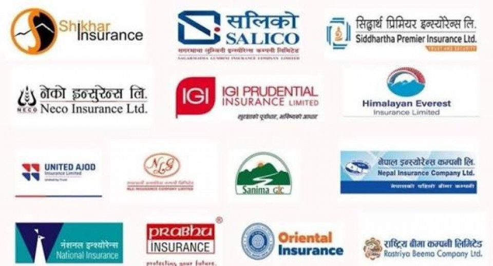 निर्जीवन बीमा कम्पनीको संचित नाफामा ठूलो गिरावट, लाभांश क्षमता घट्दै
