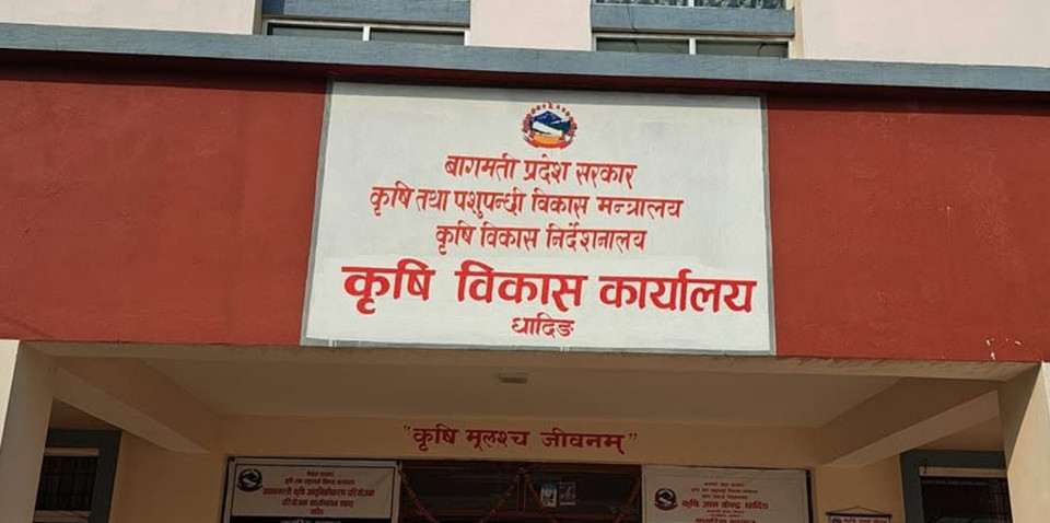 कात्तिक १५ अघि धान नकाट्न आग्रह, वर्षाले बाली बिगार्ने जोखिम