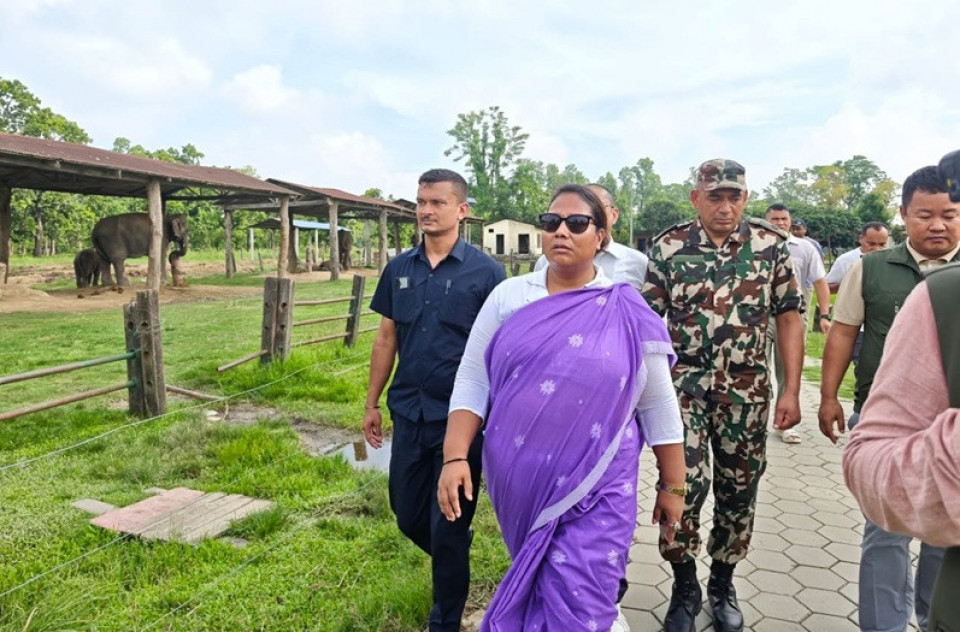 हात्ती प्रजनन केन्द्रको निरीक्षण गर्दै मन्त्री चौधरीद्वारा सुधार र विकासमा जोड