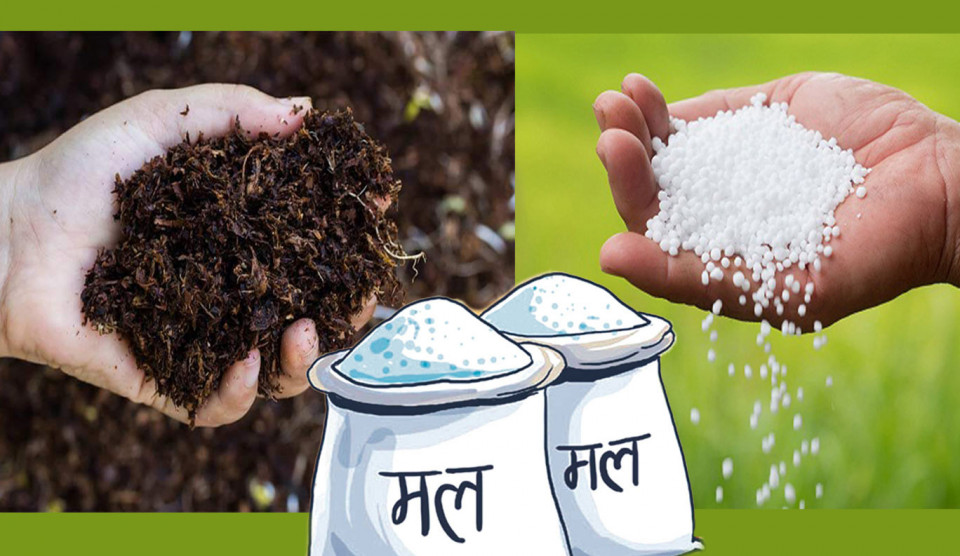 भारतभन्दा नेपालले एउटै मलमा किन तिरिरहेको छ झण्डै ३६० डलर बढी ? खरिद प्रक्रियामाथि गम्भीर प्रश्न