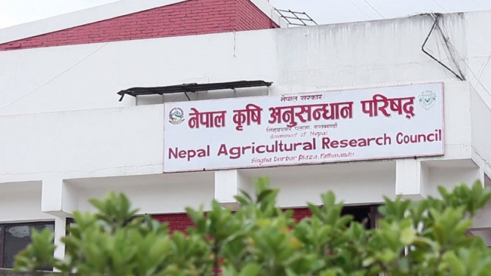 बेपत्ता कर्मचारीमाथि कारबाही एक्सन सुरु, नार्कबाट सुरुवात