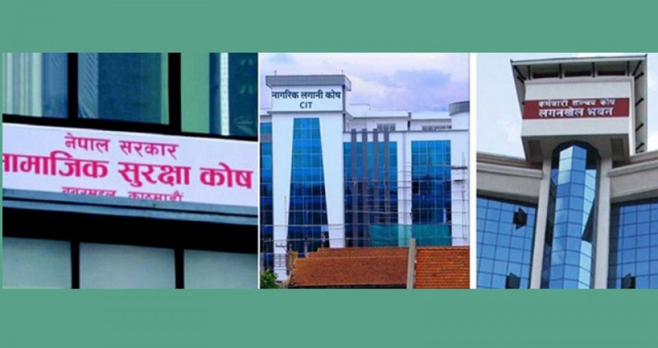 यी तीन कोषले पीईभीसीमा लगानी गर्न पाउने