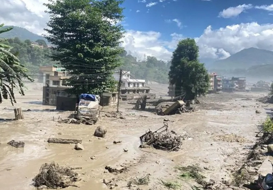 टिमुरे भन्सार क्षेत्रबाट ३०० बढी गाडी बगे