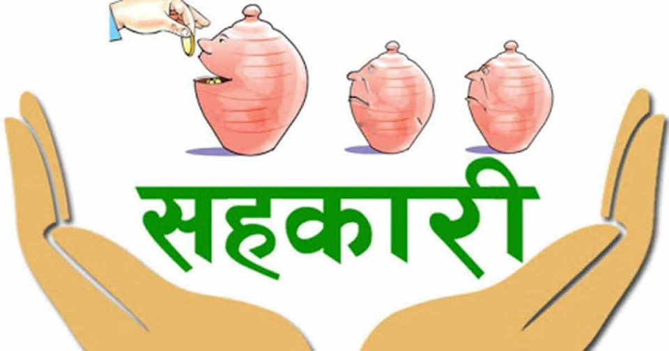 पाँच समस्याग्रस्त सहकारीका ११४ ठूला ऋणी सार्वजनिक
