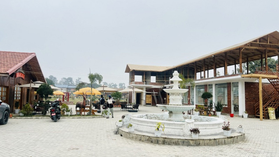 टाइगर होटल फरेष्टको आतिथ्य व्यवसाय विस्तार