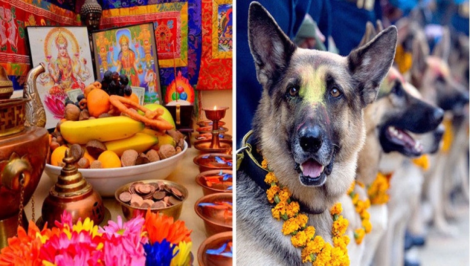 आज कुकुर तिहार र लक्ष्मीपूजा मनाइँदै