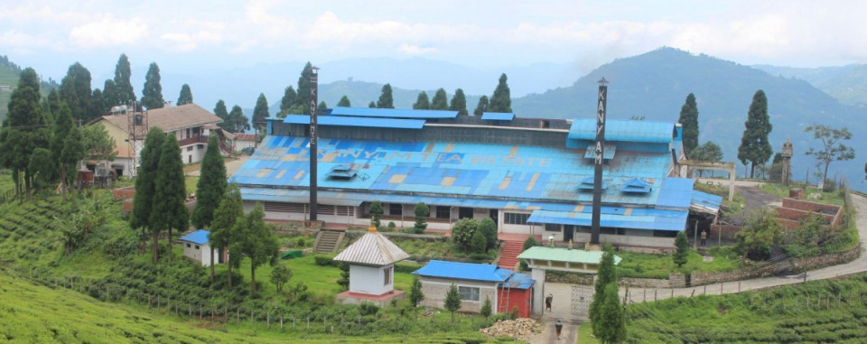 भारतको अवरोधपछि इलामका चिया उद्योग बन्द, हजारौँ मजदूर प्रभावित