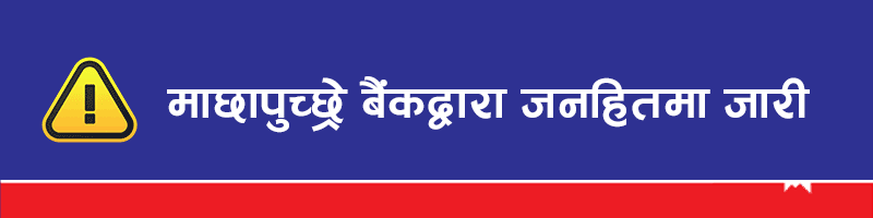 Bizshala